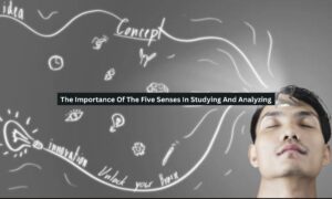 The Importance Of The Five Senses In Studying And Analyzing