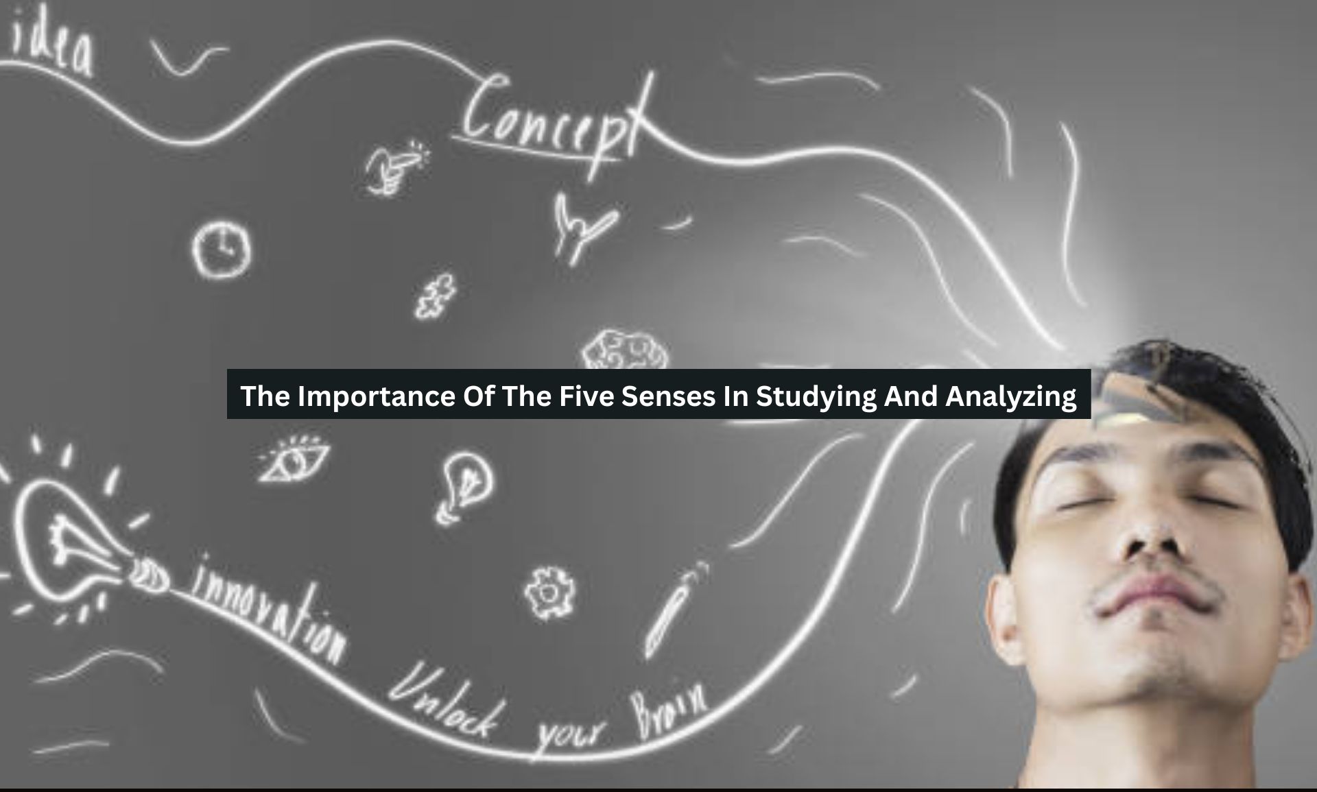 Studying And Analyzing