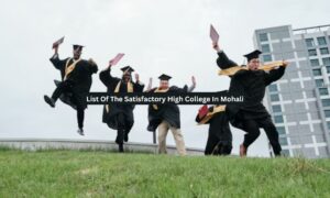 List Of The Satisfactory High College In Mohali